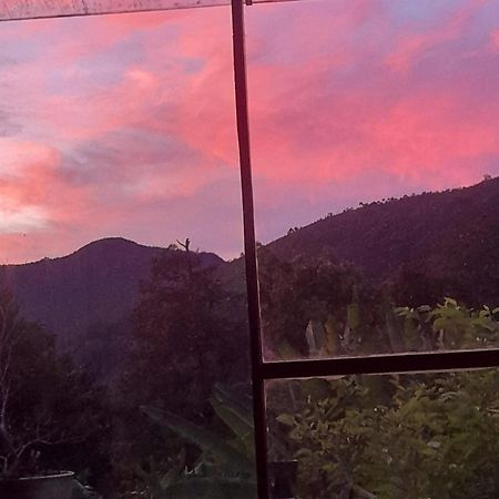 Casa De Vidro Daire Petrópolis Dış mekan fotoğraf