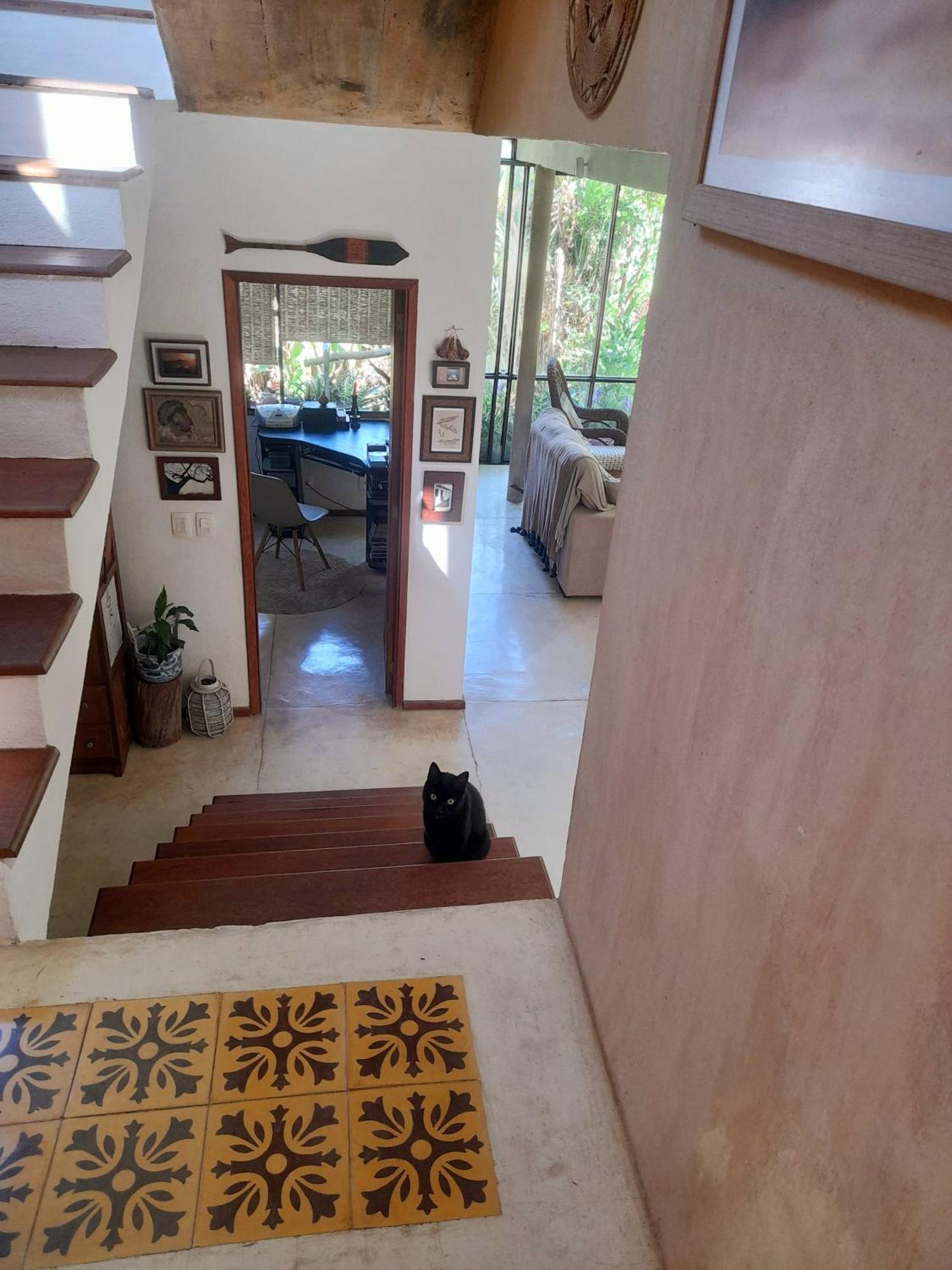 Casa De Vidro Daire Petrópolis Dış mekan fotoğraf