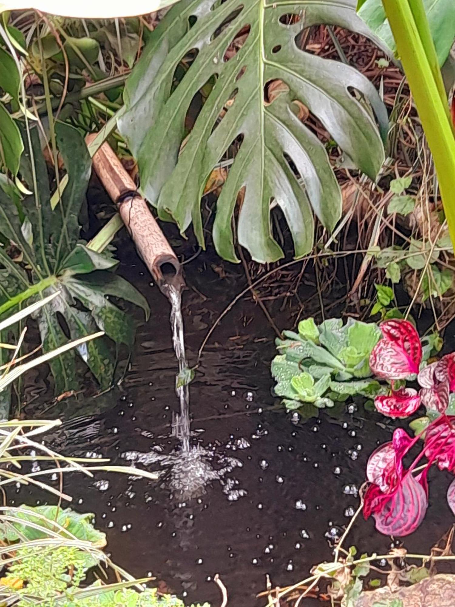 Casa De Vidro Daire Petrópolis Dış mekan fotoğraf