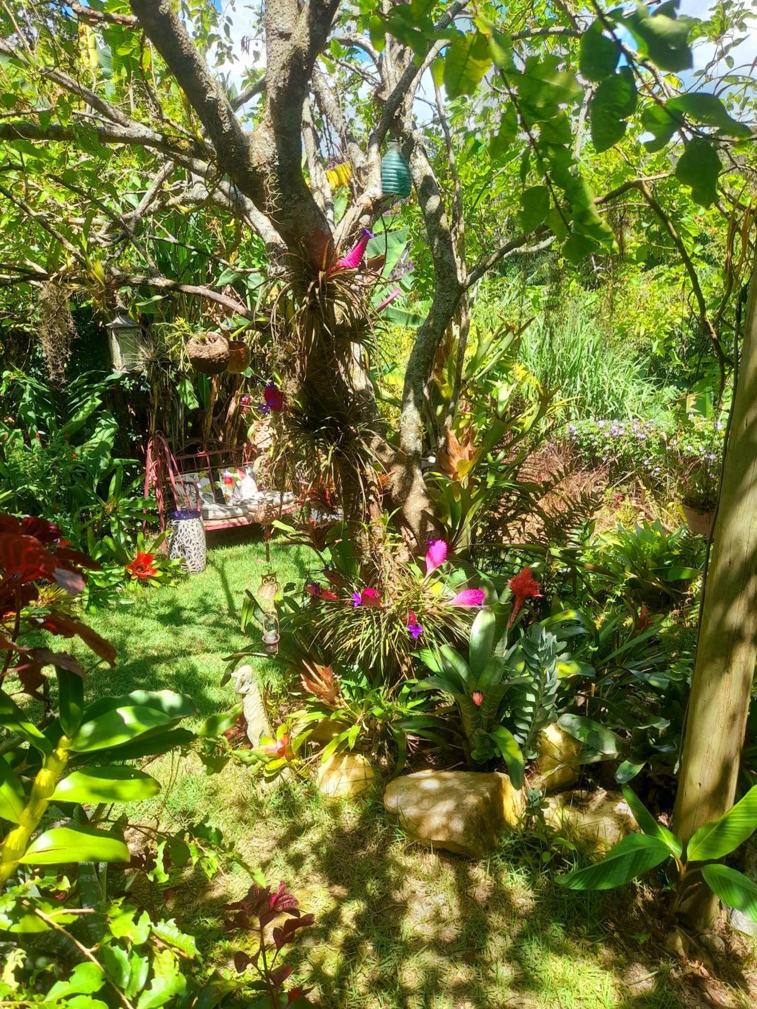 Casa De Vidro Daire Petrópolis Dış mekan fotoğraf