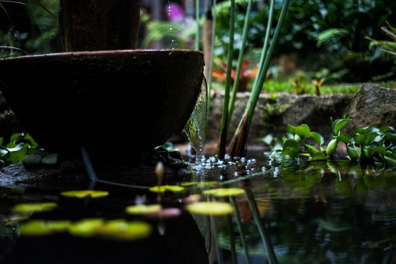 Casa De Vidro Daire Petrópolis Dış mekan fotoğraf