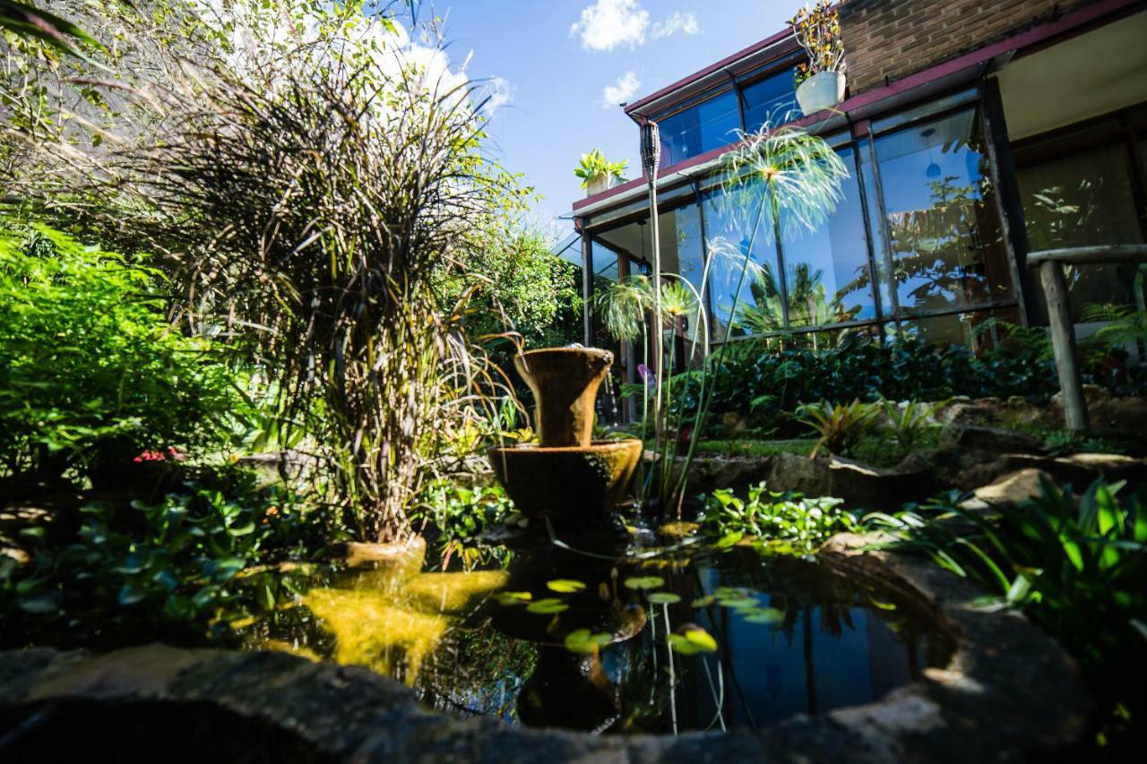 Casa De Vidro Daire Petrópolis Dış mekan fotoğraf