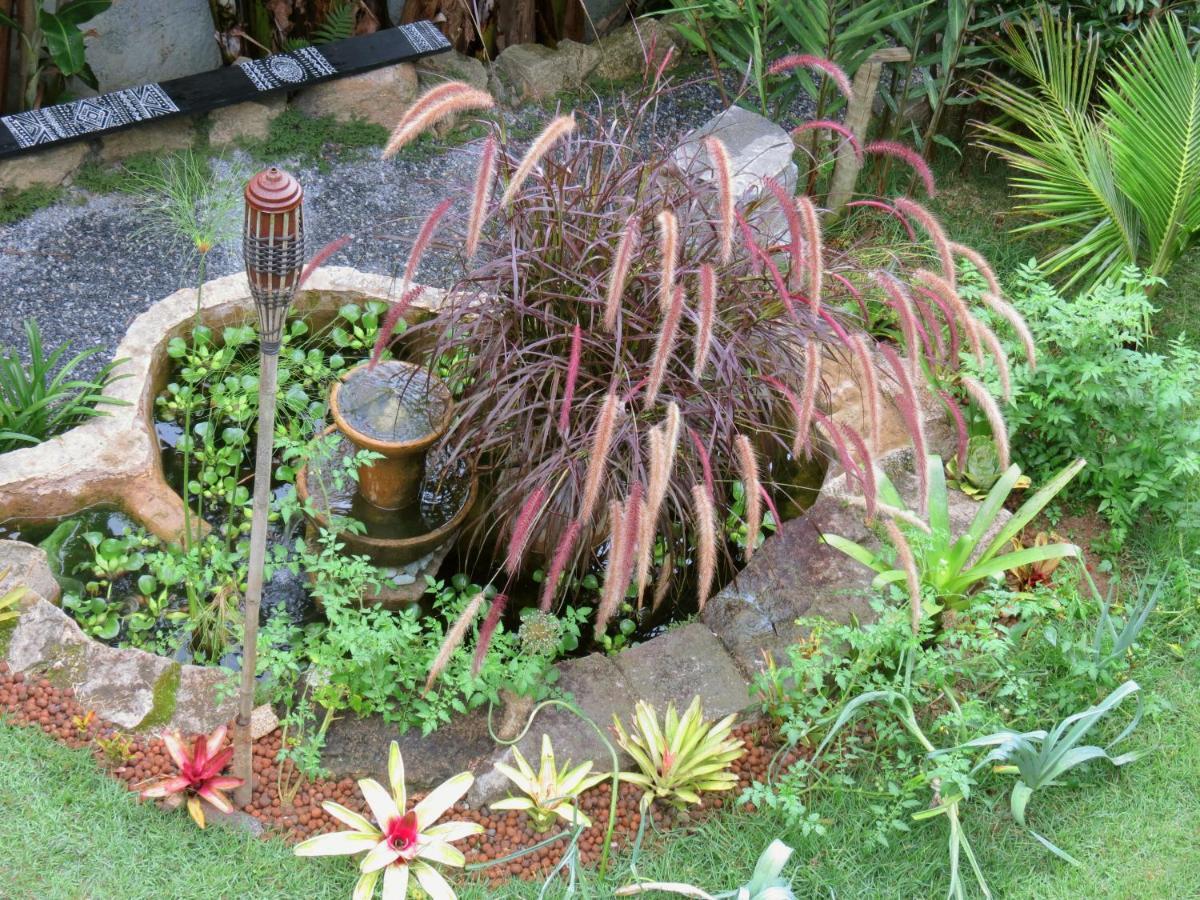 Casa De Vidro Daire Petrópolis Dış mekan fotoğraf
